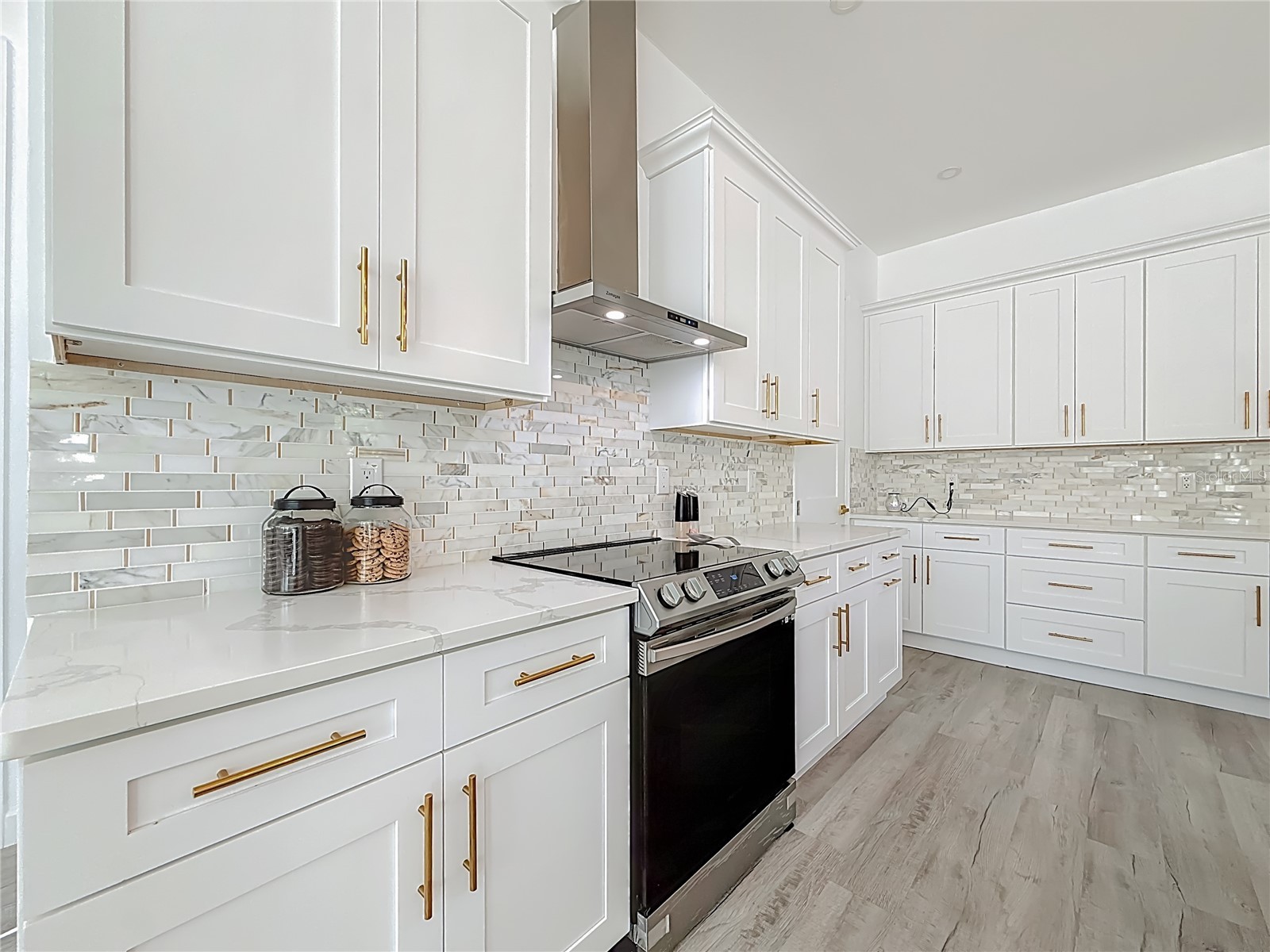 1306 E Lemon Street Tarpon Springs FL 34689 TB8462346 image9
