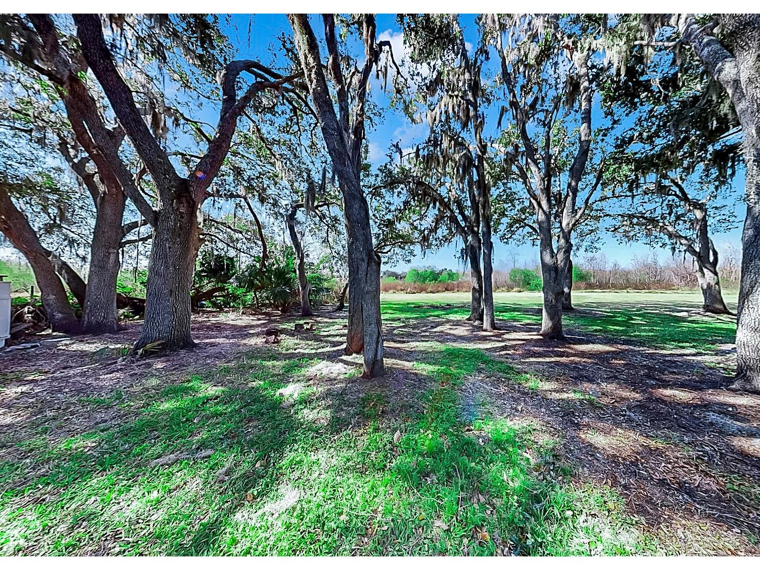 1306 Gangplank Drive Valrico FL 33594 - VALRICO LAKE TB8466667 image49