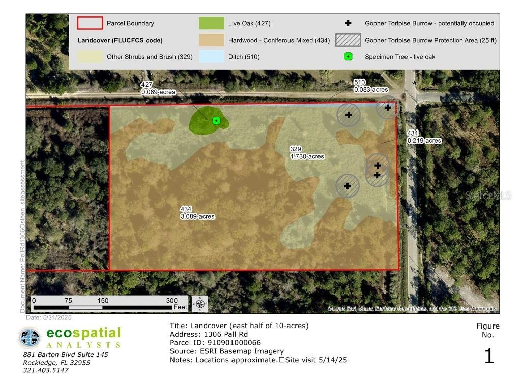 1306 Pell Road Osteen FL 32764 O6329623 image2