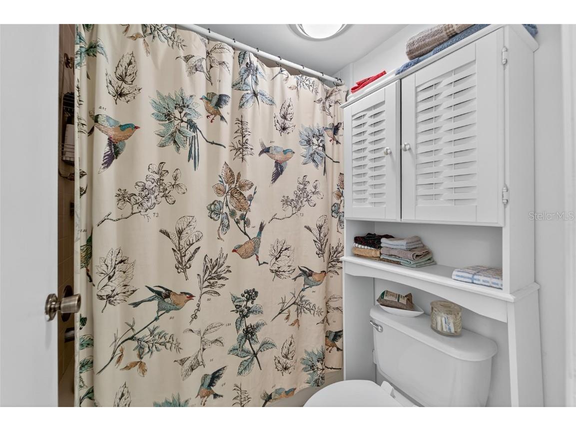 1306 Spry Court #1306 Sun City Center FL 33573 TB8430954 image23