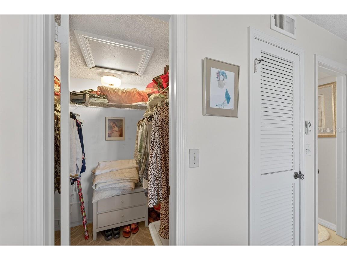 1306 Spry Court #1306 Sun City Center FL 33573 TB8430954 image30