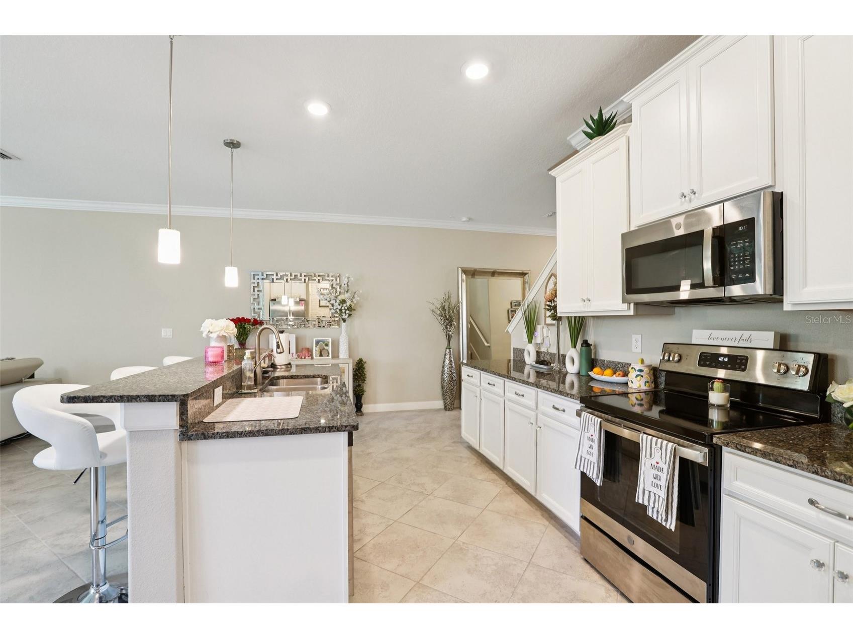 1306 White Fox Run Lutz FL 33549 TB8474510 image11