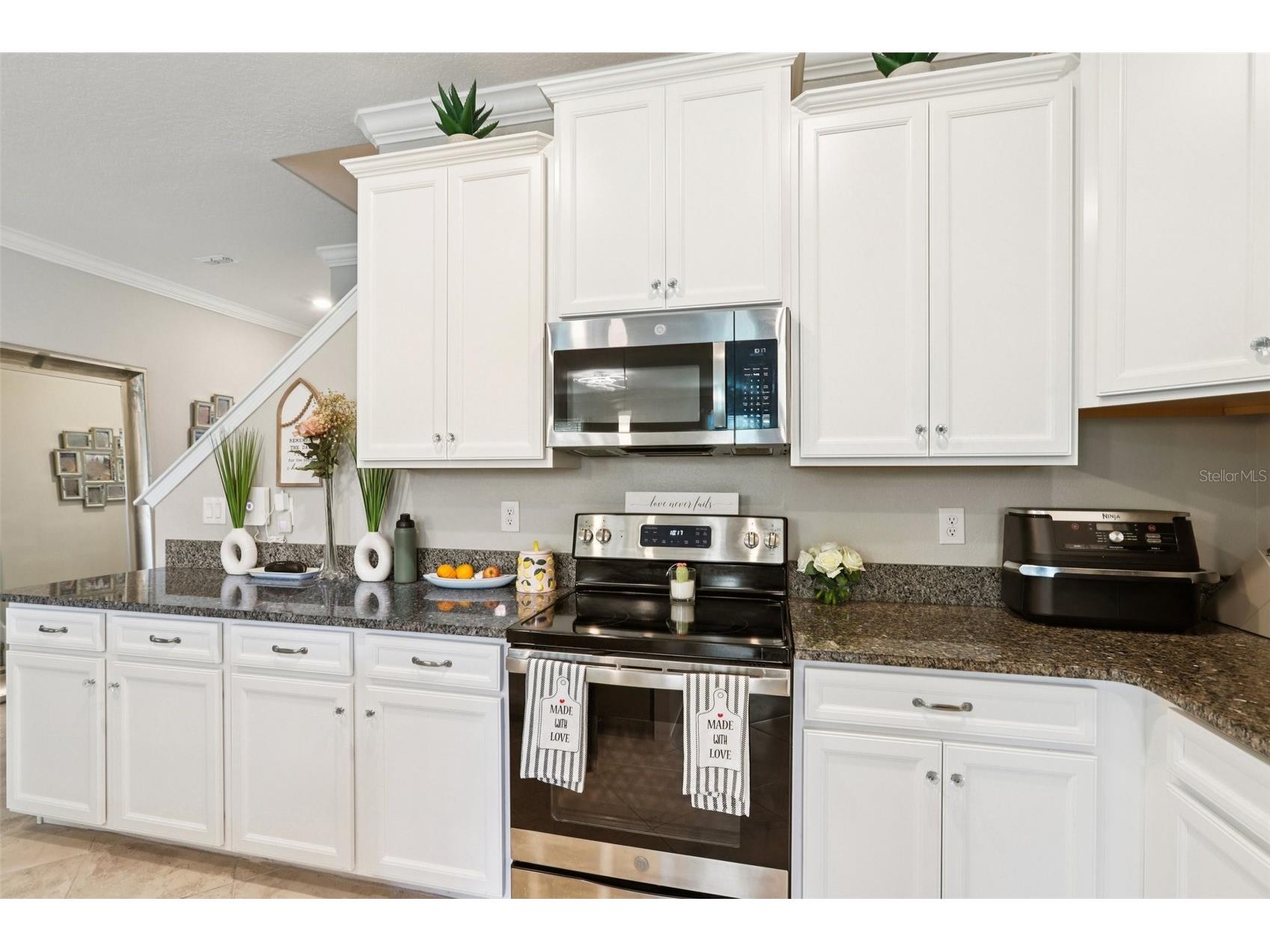 1306 White Fox Run Lutz FL 33549 TB8474510 image12