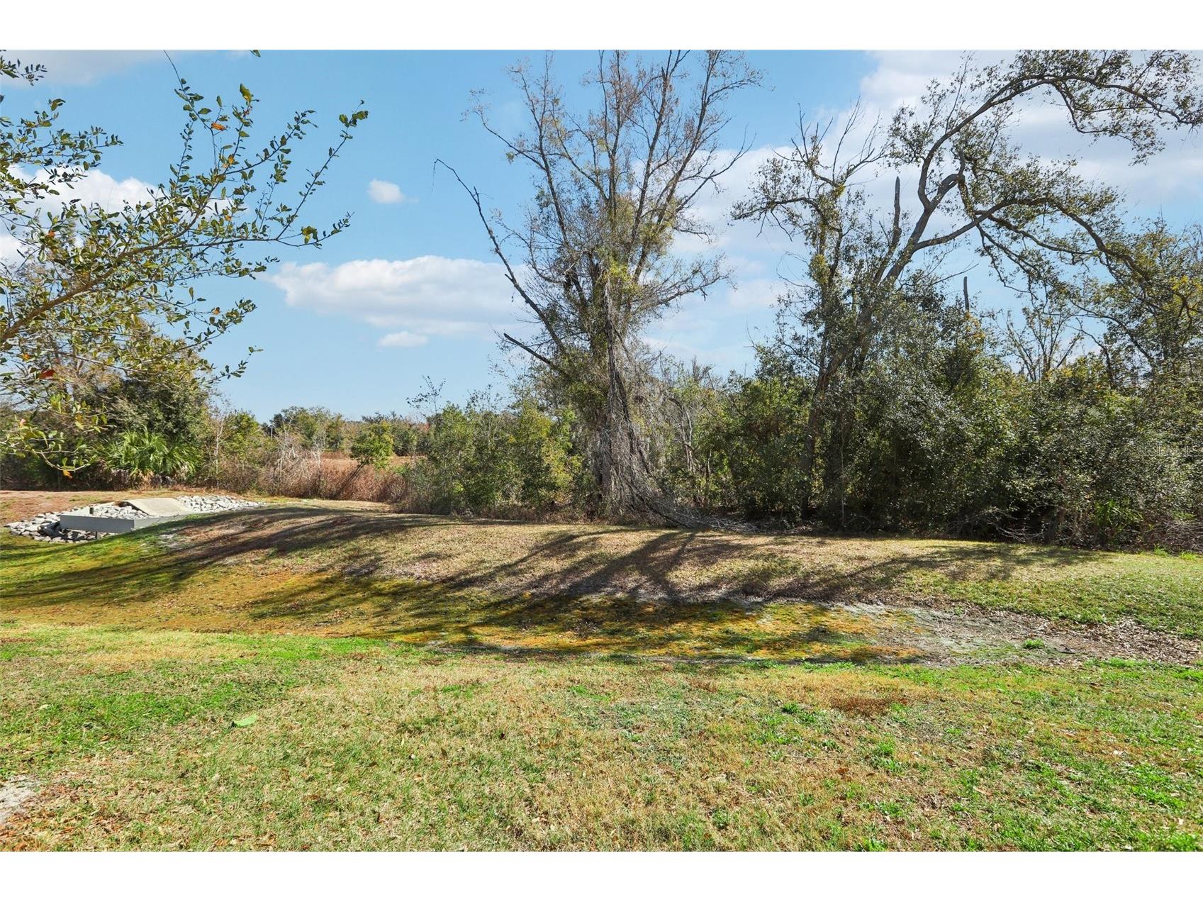 1306 White Fox Run Lutz FL 33549 TB8474510 image29