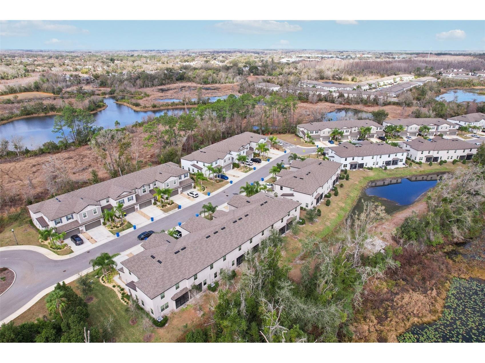 1306 White Fox Run Lutz FL 33549 TB8474510 image31