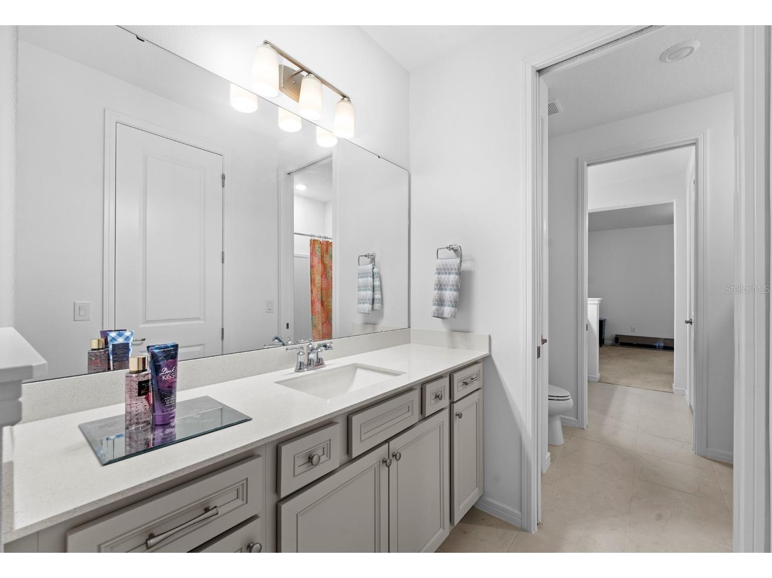 13060 Willow Grove Drive Riverview FL 33579 TB8473524 image26