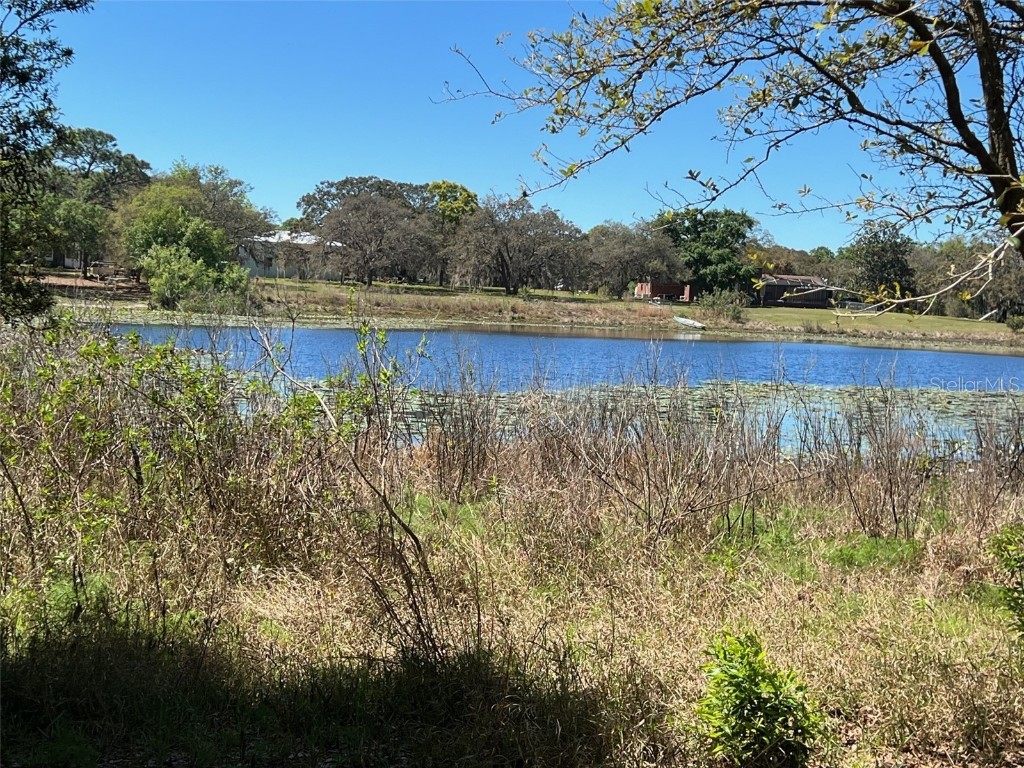 13061 Lake Karl Drive Hudson FL 34669 U8234415 image1