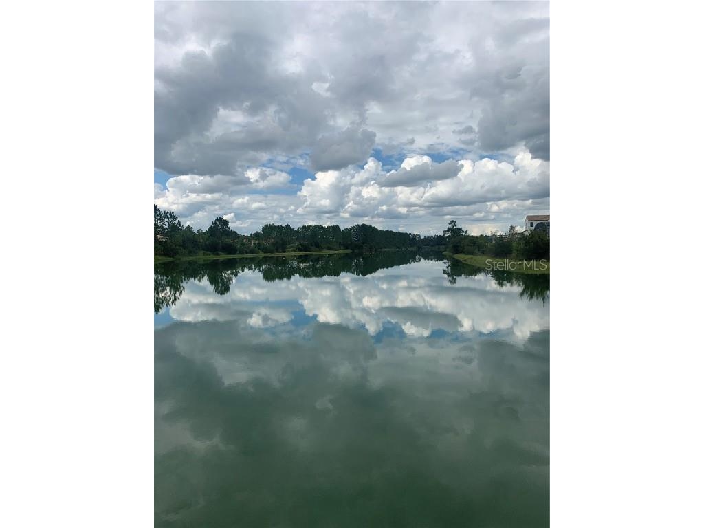 13061 Swinney Lane Clermont FL 34711 - LAKE PIERROT O6245336 image4