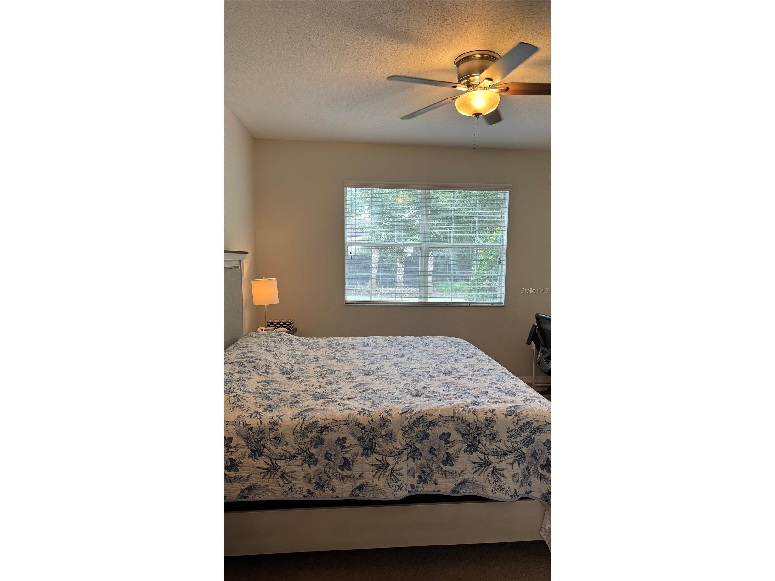13063 Calderdale Avenue Windermere FL 34786 S5151457 image6