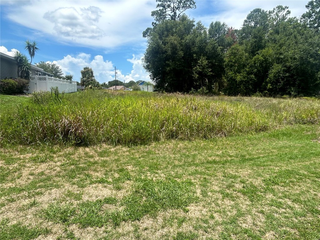 13064 NE 7th Loop Silver Springs FL 34488 OM681348 image1