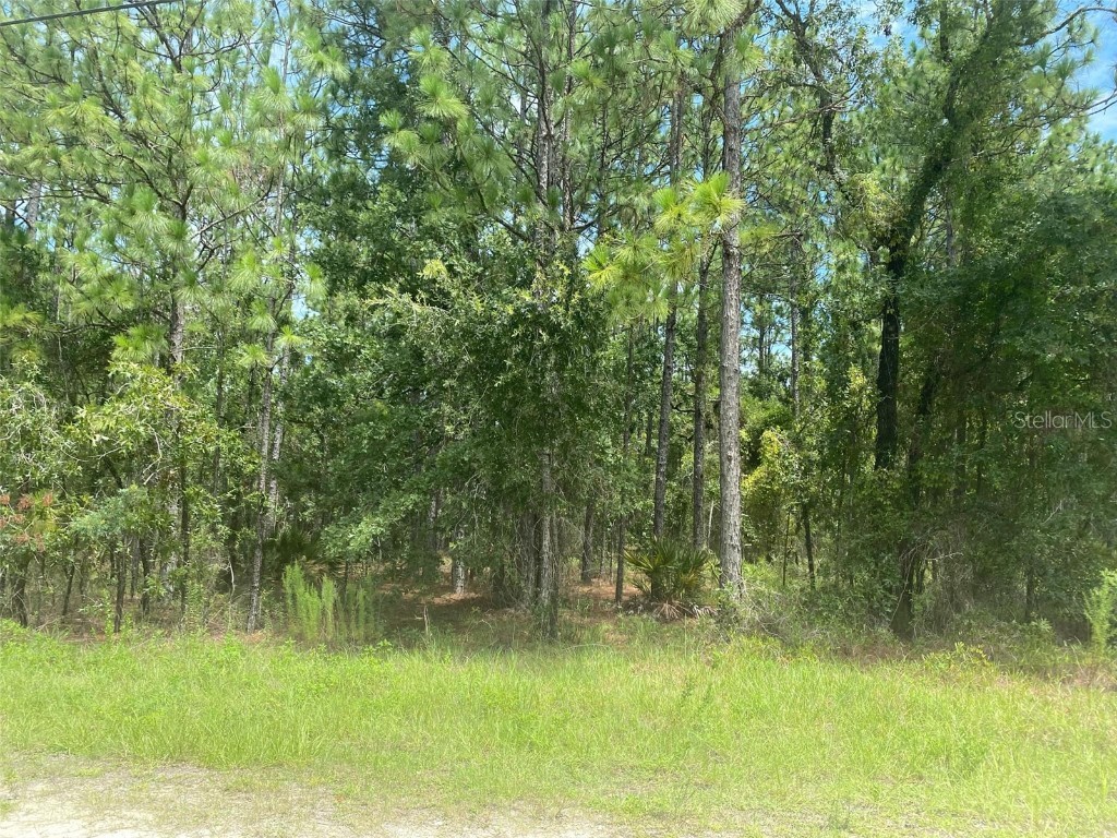 13065 Albany Road Weeki Wachee FL 34614 W7868172 image1