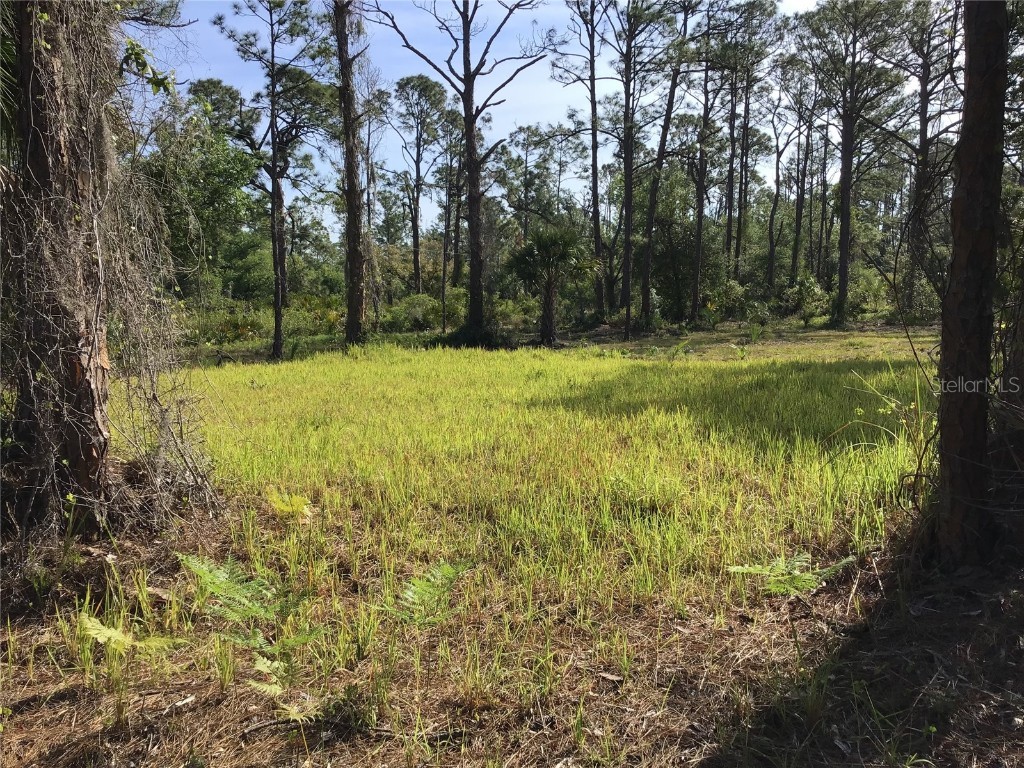 13068 and 13076 Woolard Avenue Port Charlotte FL 33953 D6141414 image1