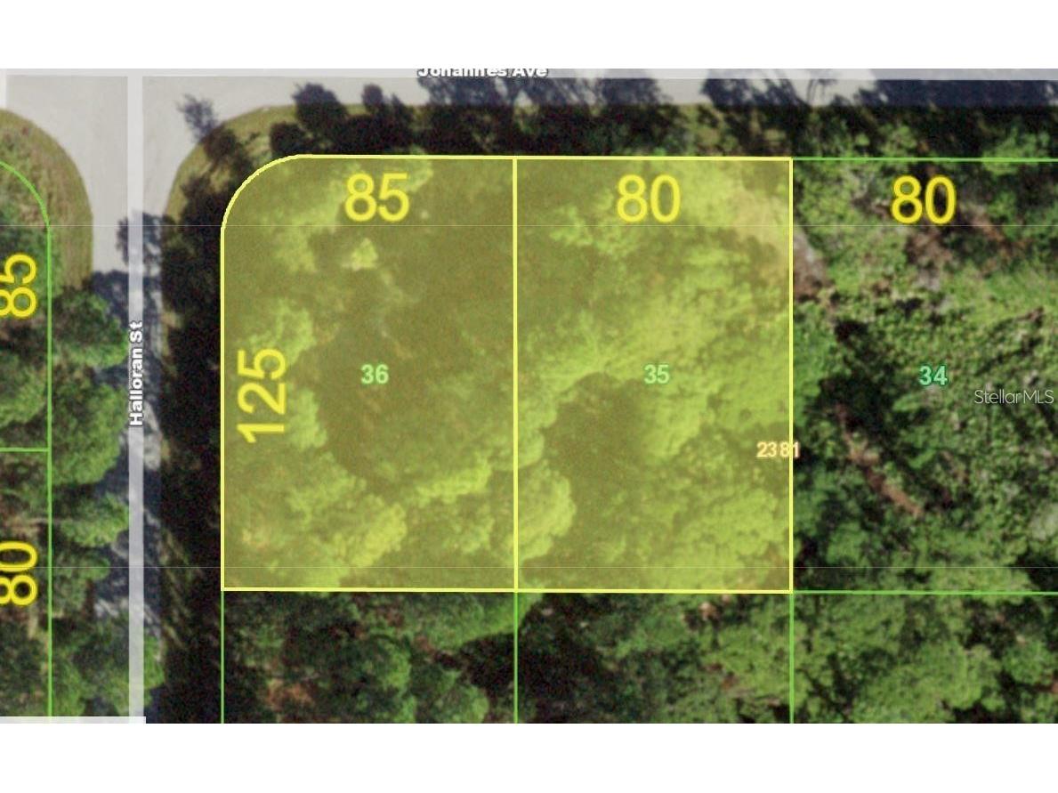 13069-13061 Johannes Avenue Port Charlotte FL 33953 TB8471112 image1