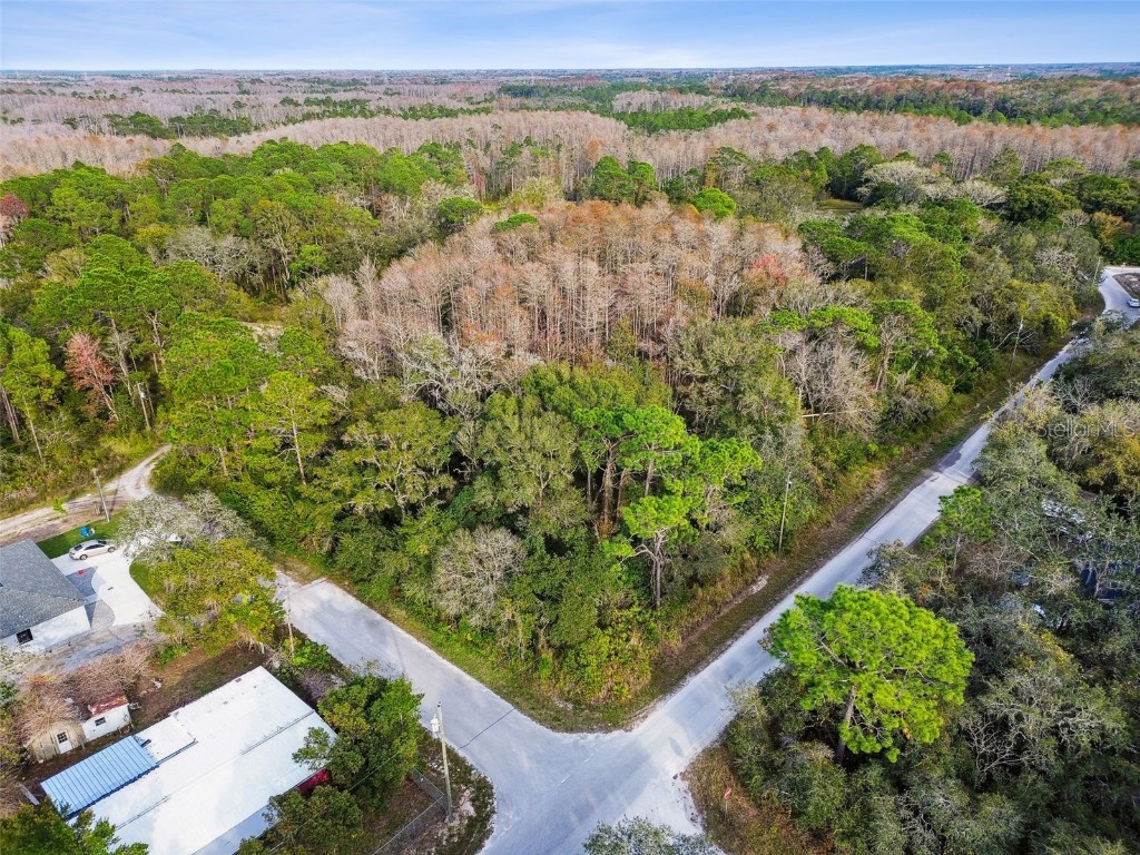 13069 Davista Avenue New Port Richey FL 34654 U8223634 image1