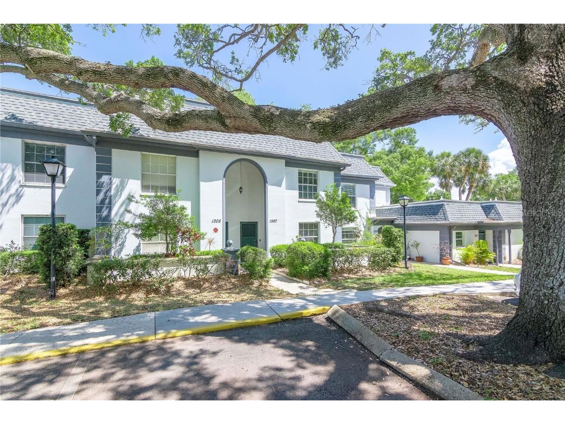 1307 N Mcmullen Booth Road Clearwater FL 33759 T3442952 image1