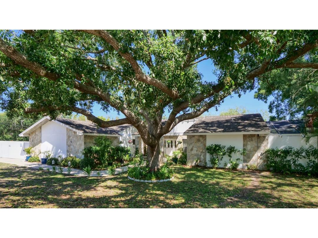 1307 Normandy Circle Palm Harbor FL 34683 TB8500489 image1