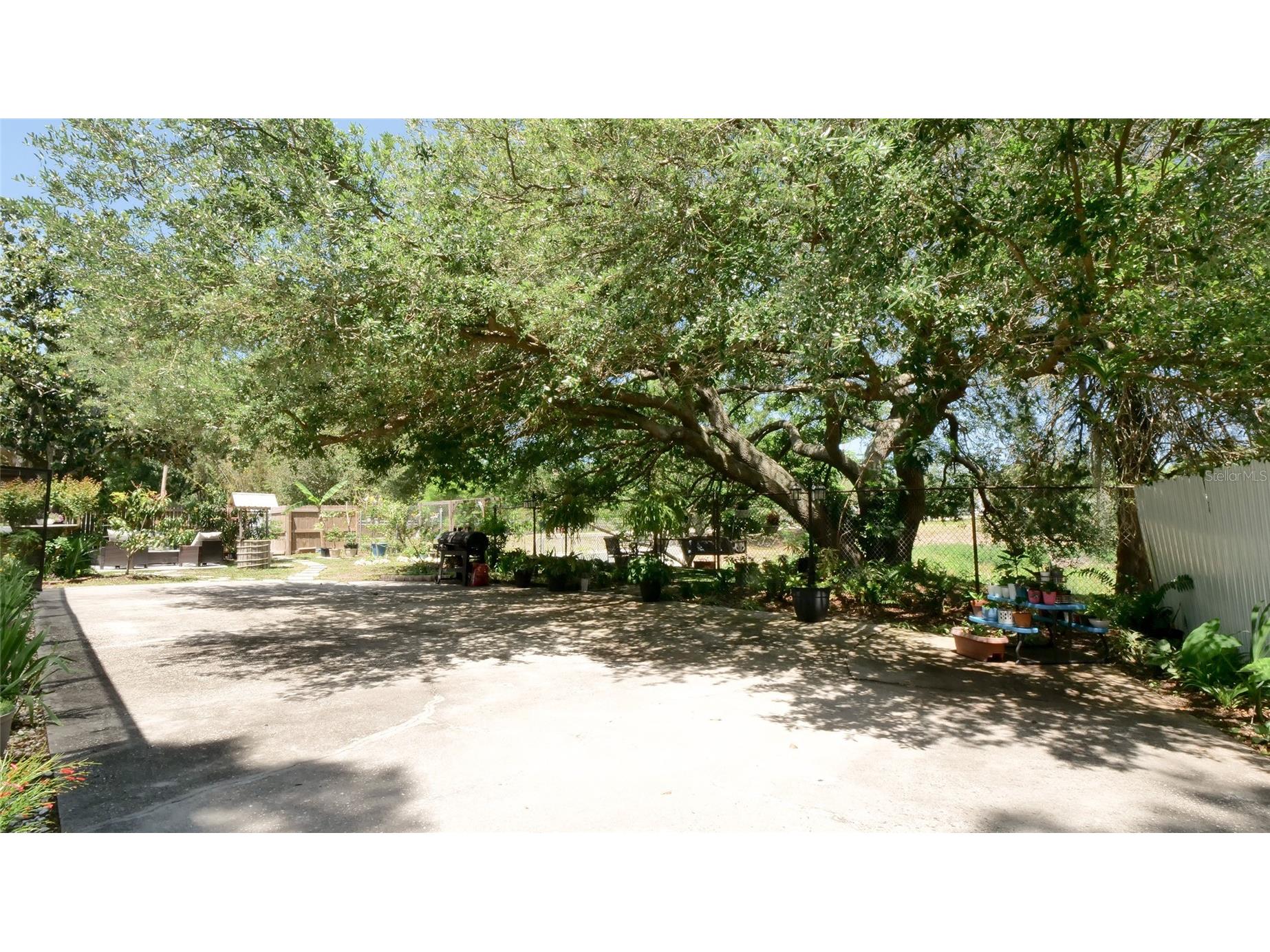 1307 Normandy Circle Palm Harbor FL 34683 TB8500489 image32