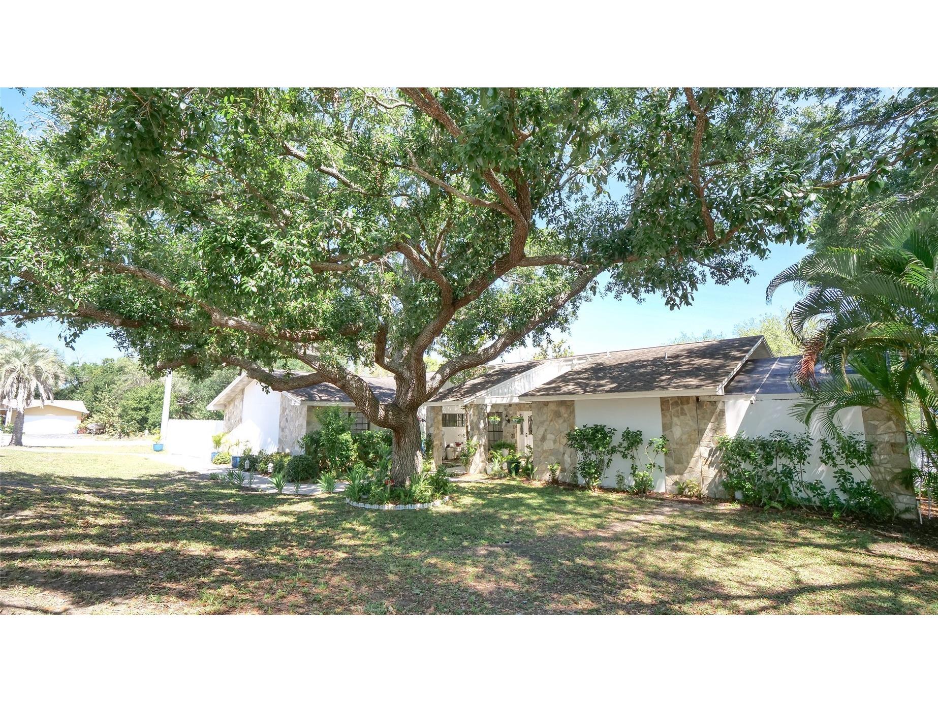 1307 Normandy Circle Palm Harbor FL 34683 TB8500489 image43