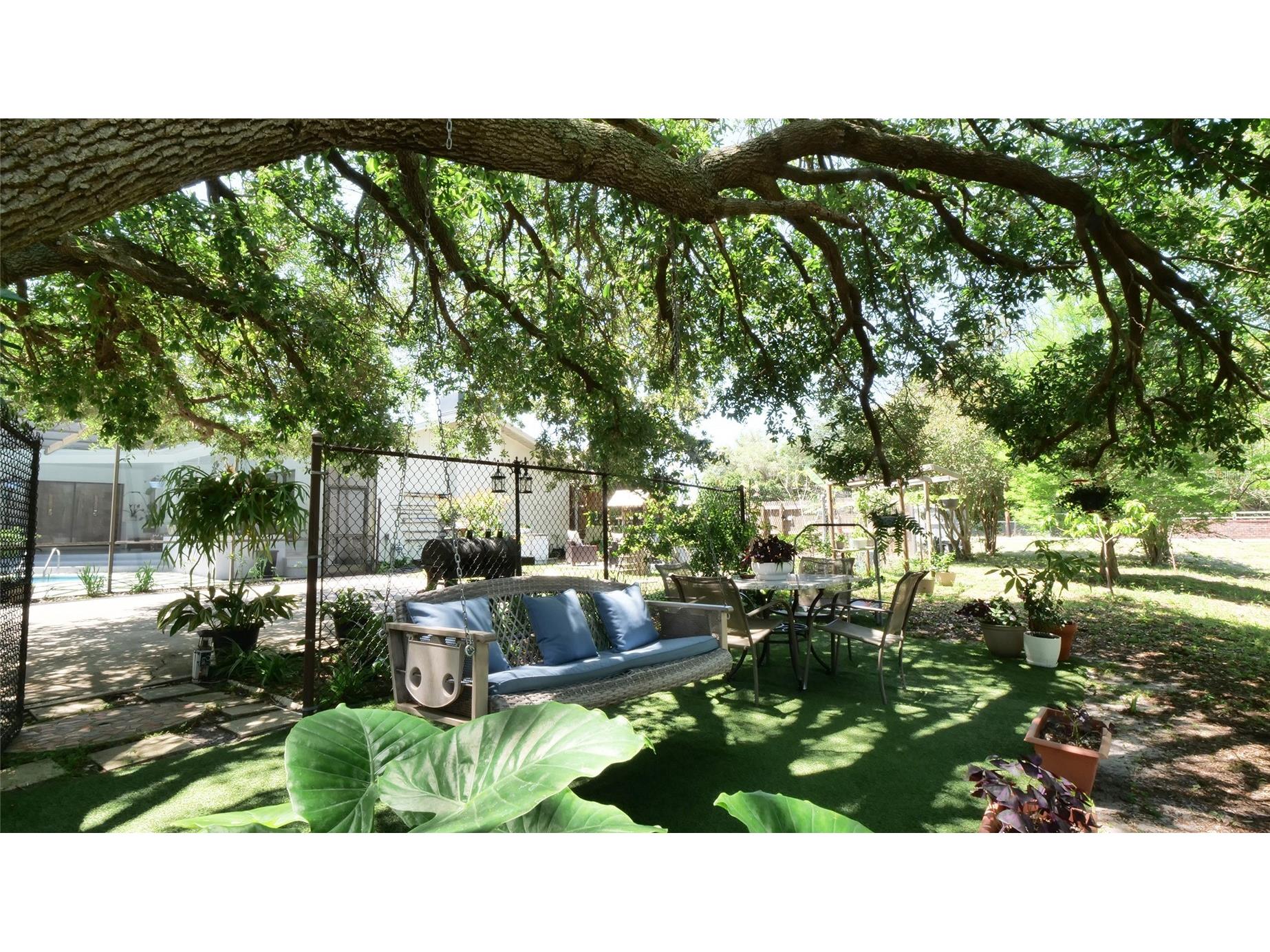 1307 Normandy Circle Palm Harbor FL 34683 TB8500489 image50