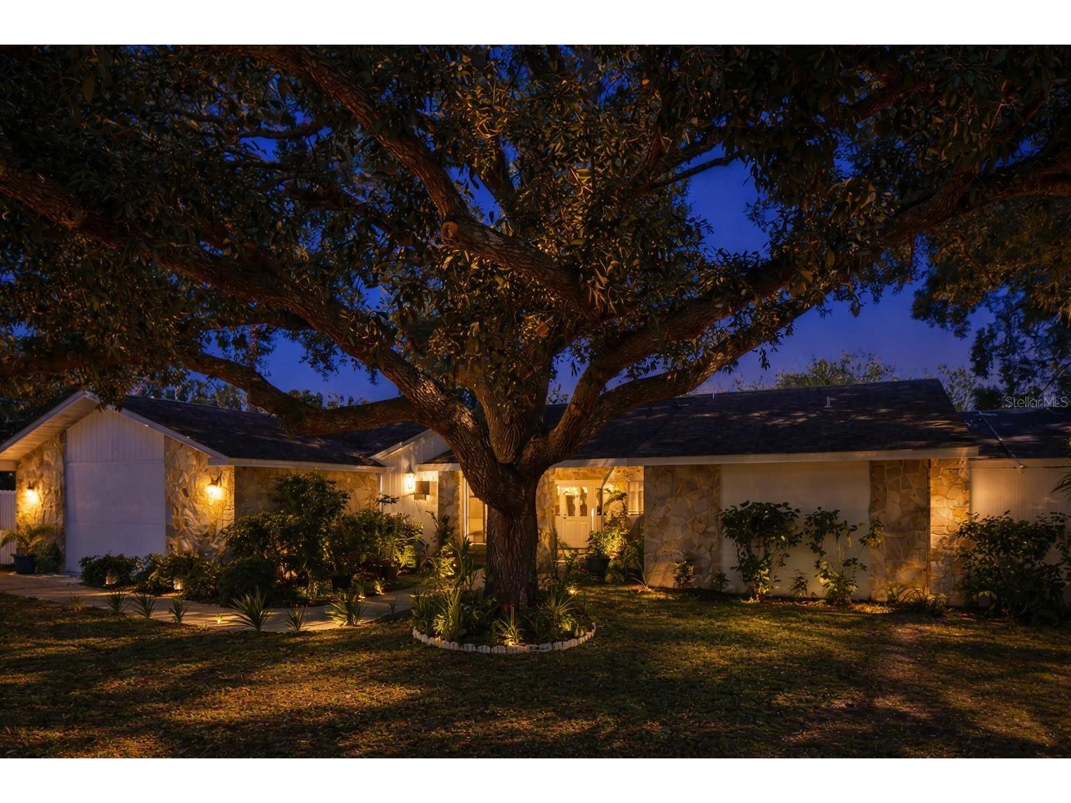 1307 Normandy Circle Palm Harbor FL 34683 TB8500489 image52