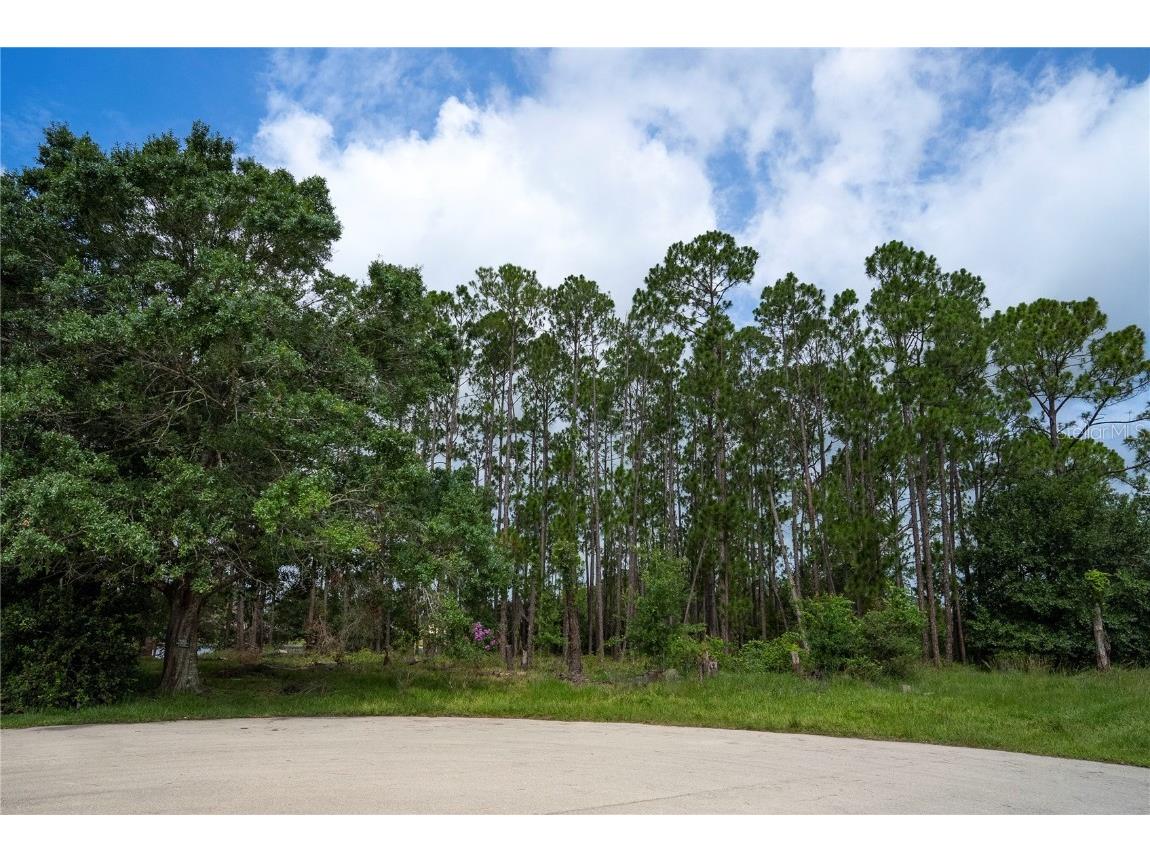 1307 Putter Court Sebring FL 33872 L4937948 image1