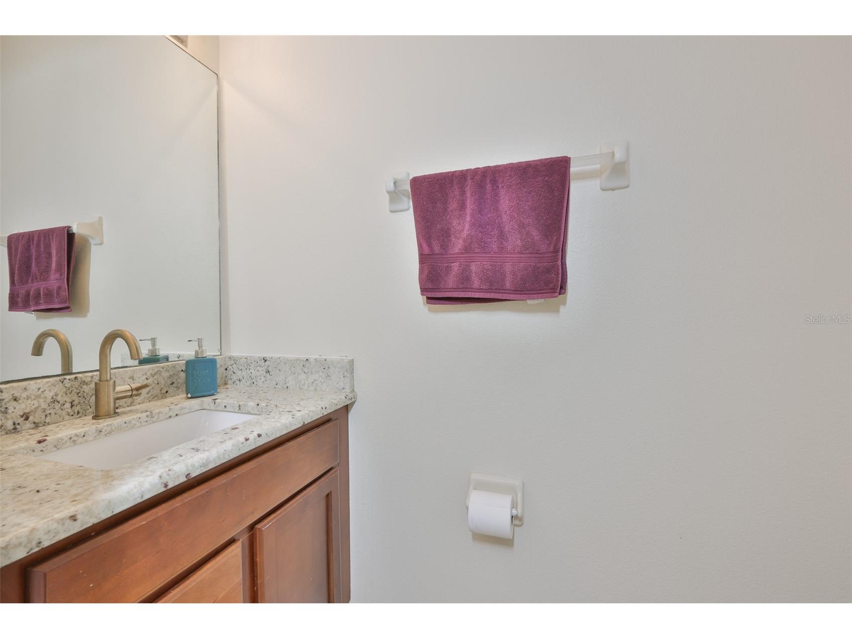 1307 Salem Orchard Lane Brandon FL 33511 TB8482869 image27