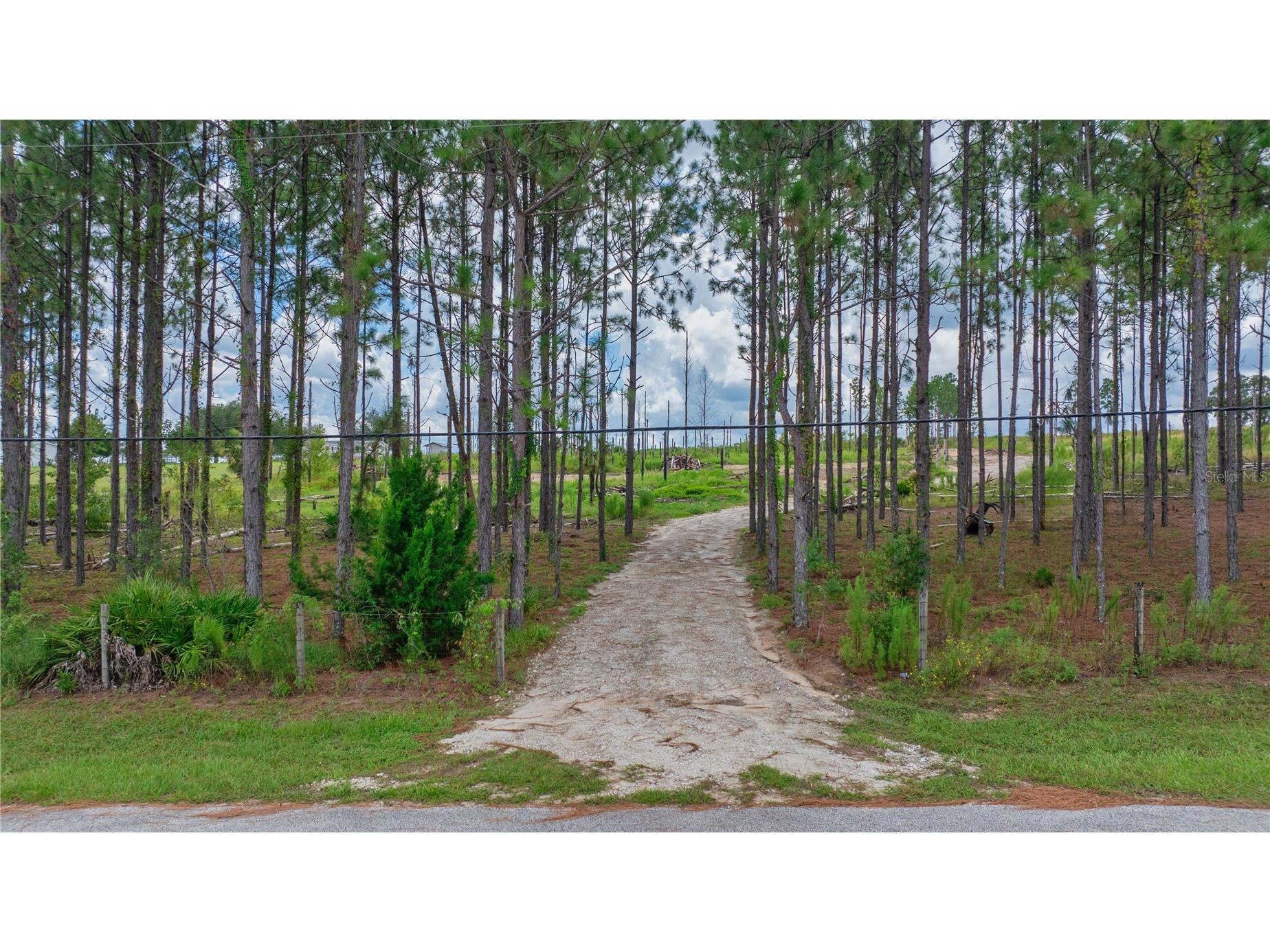13070 Crowell Road Brooksville FL 34613 TB8487548 image2