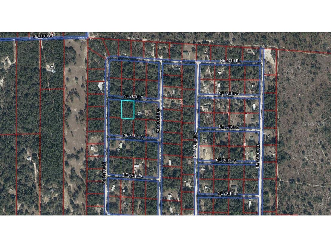 13070 NE 78th Place Bronson FL 32621 OM723402 image1