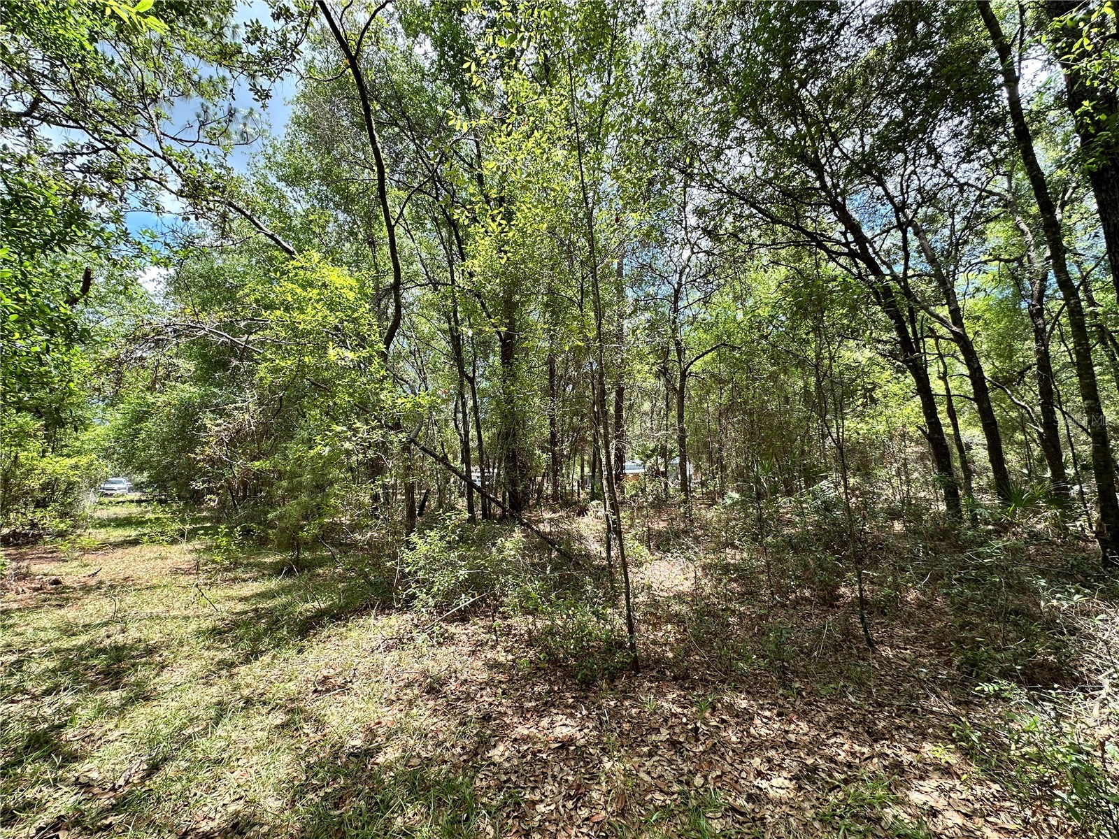 13070 NE 78th Place Bronson FL 32621 OM723402 image4