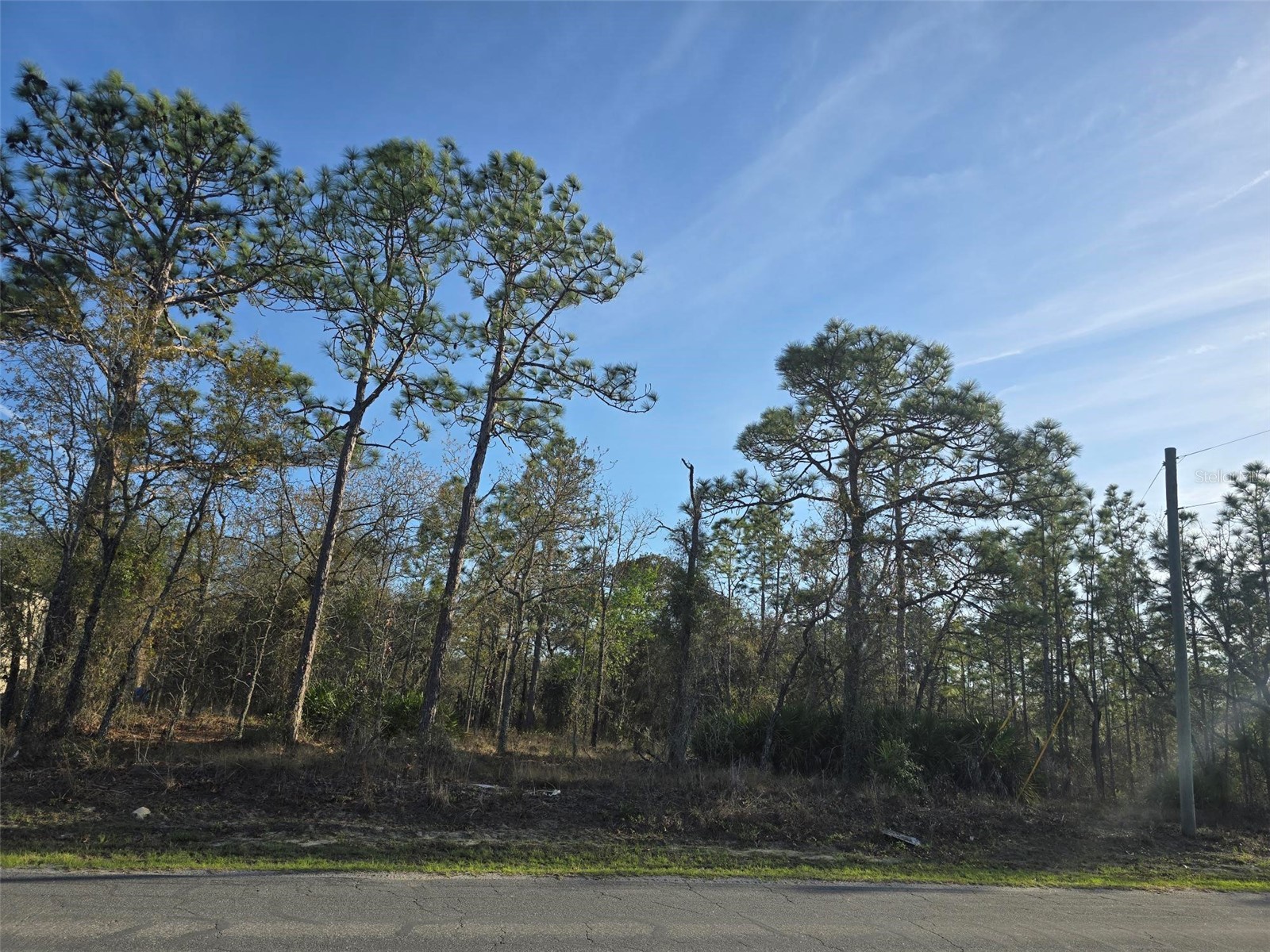 13070 Quigley Avenue Weeki Wachee FL 34614 W7883849 image1