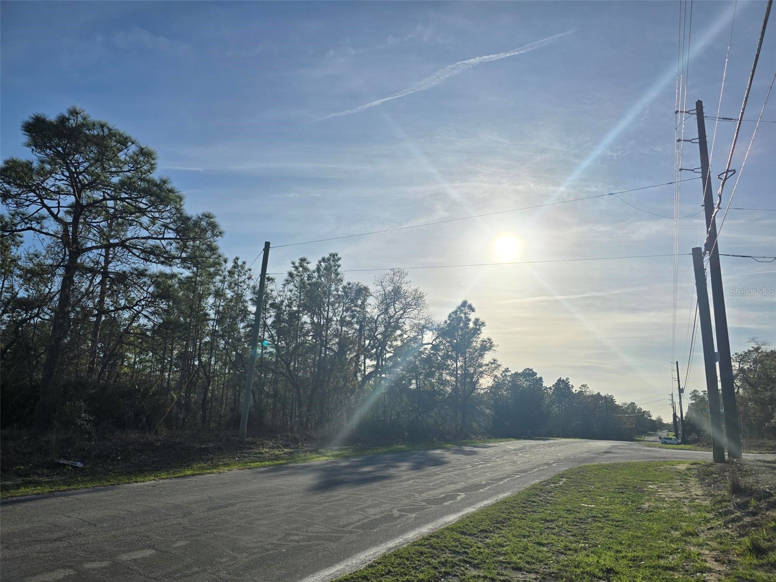 13070 Quigley Avenue Weeki Wachee FL 34614 W7883849 image2