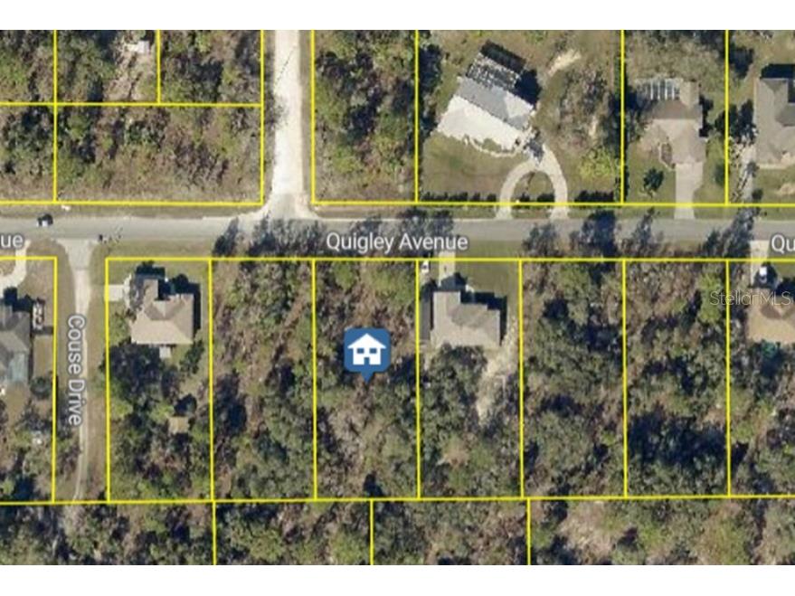 13070 Quigley Avenue Weeki Wachee FL 34614 W7883849 image4