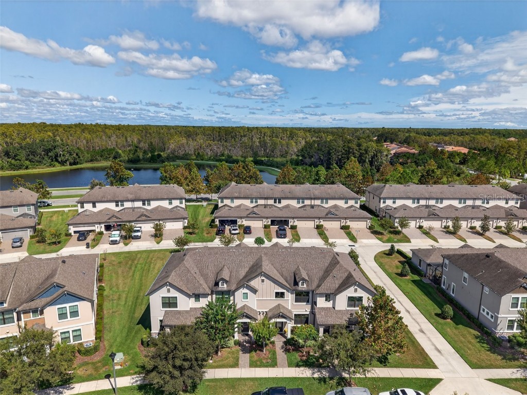 13071 Batten Lane Odessa FL 33556 W7879790 image38