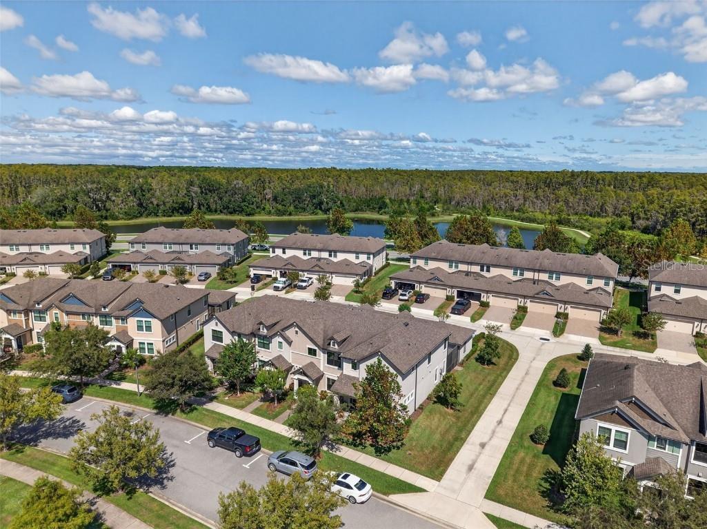 13071 Batten Lane Odessa FL 33556 W7879790 image40