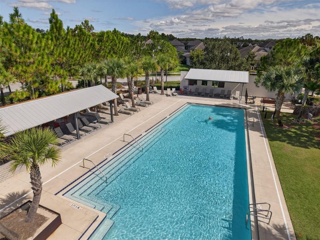 13071 Batten Lane Odessa FL 33556 W7879790 image46