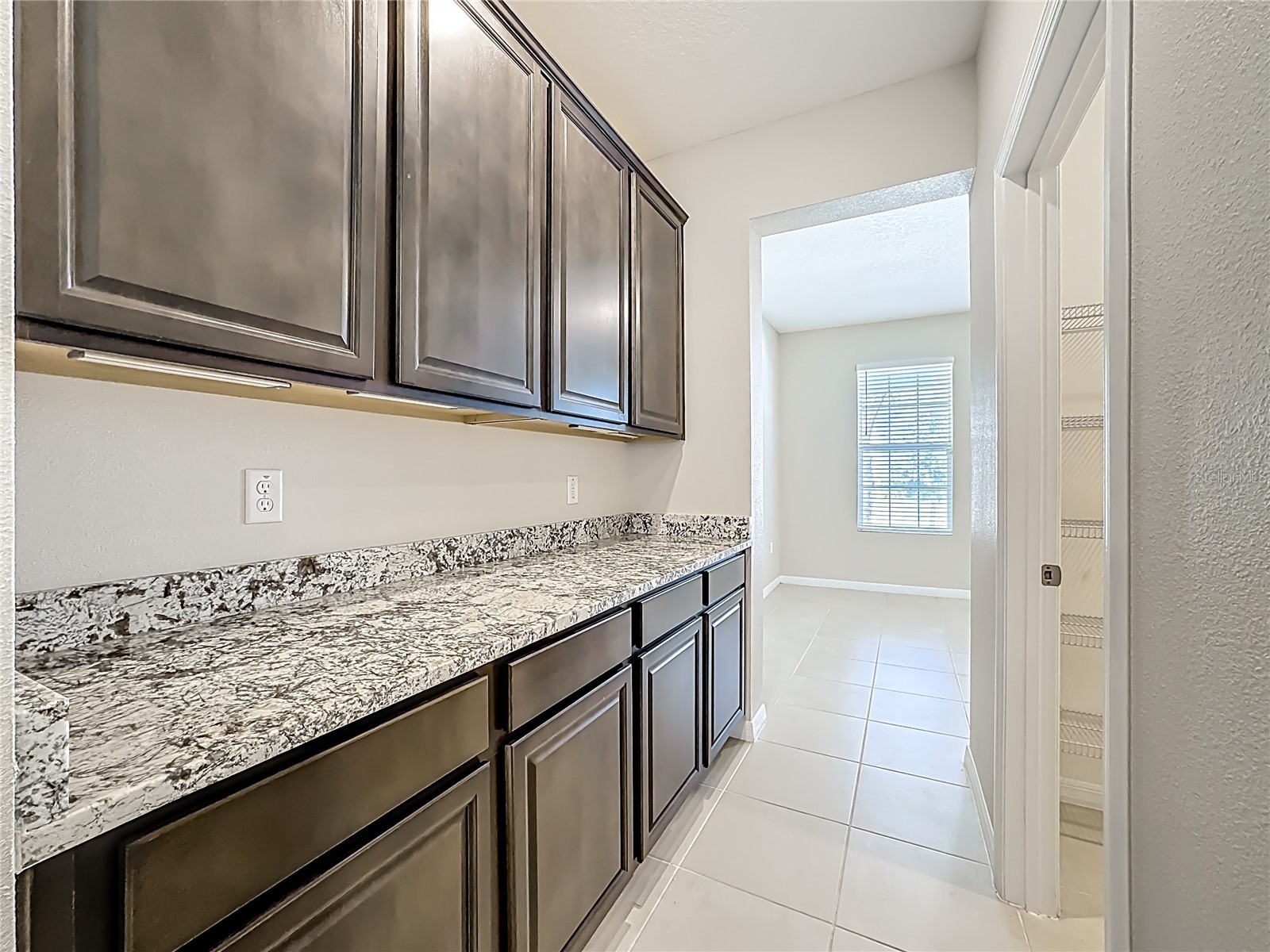 13071 Brookside Moss Drive Riverview FL 33579 TB8485338 image17