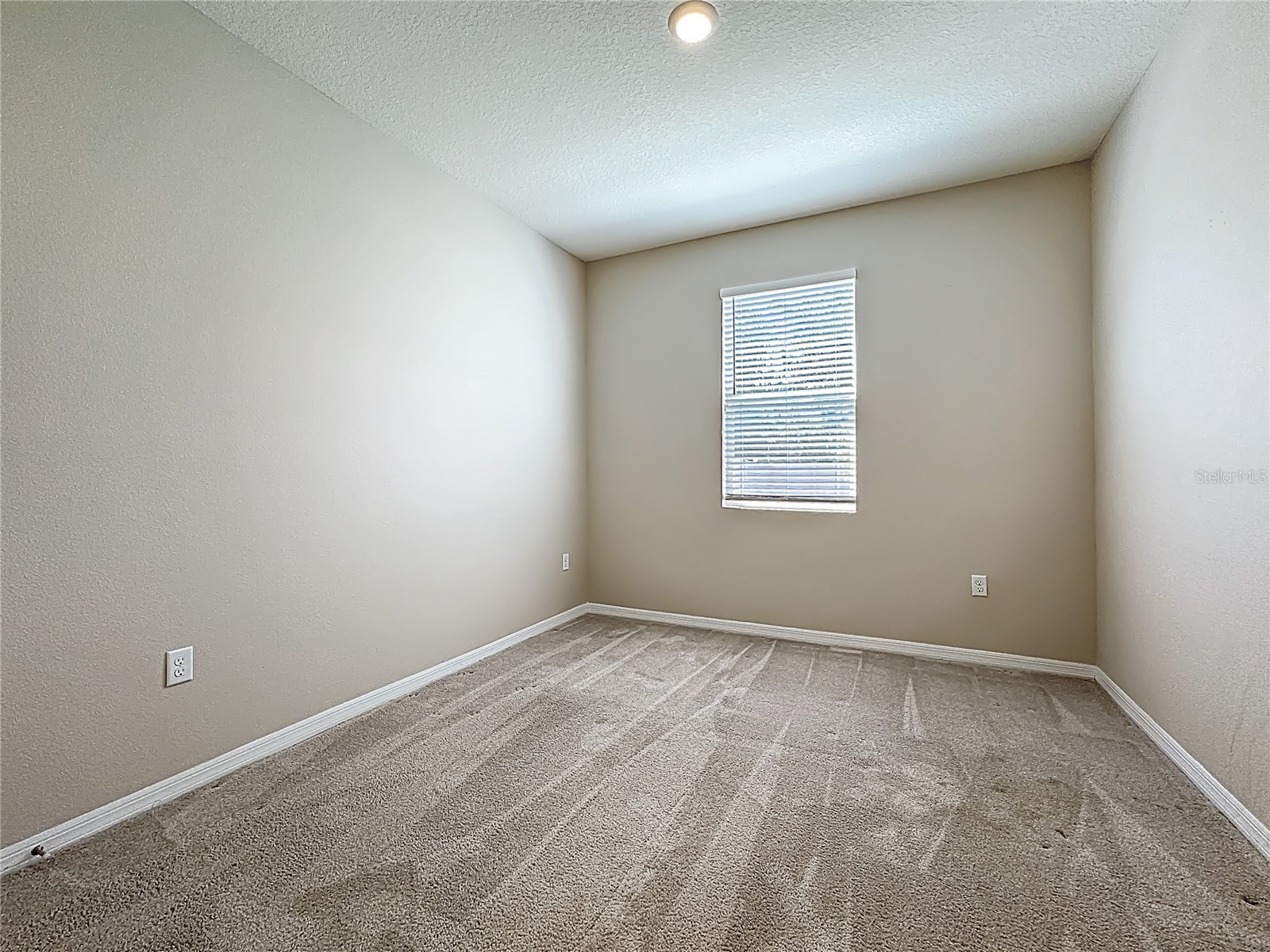 13071 Brookside Moss Drive Riverview FL 33579 TB8485338 image31