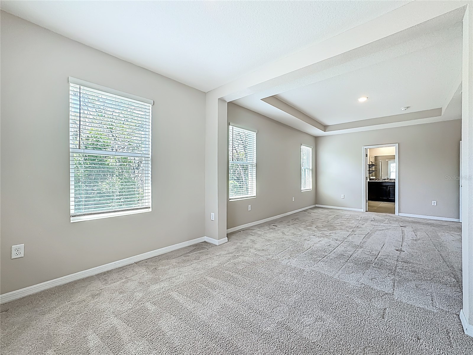 13071 Brookside Moss Drive Riverview FL 33579 TB8485338 image43