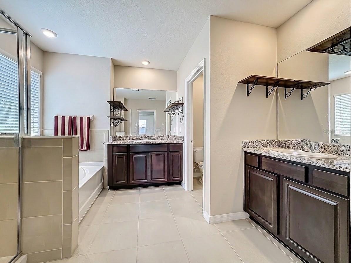 13071 Brookside Moss Drive Riverview FL 33579 TB8485338 image47
