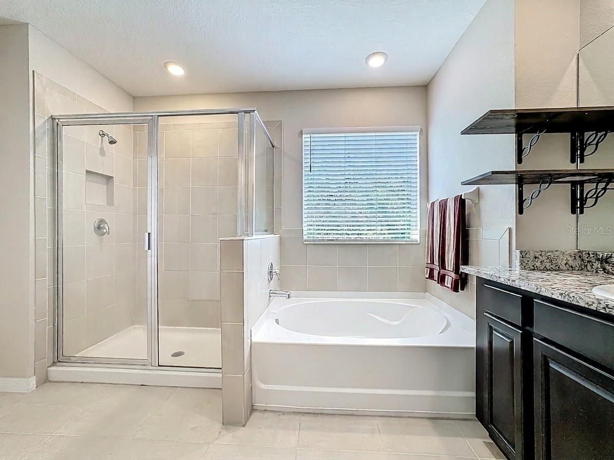 13071 Brookside Moss Drive Riverview FL 33579 TB8485338 image49