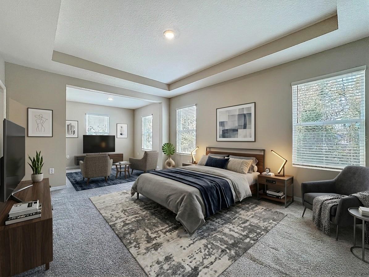 13071 Brookside Moss Drive Riverview FL 33579 TB8485338 image7