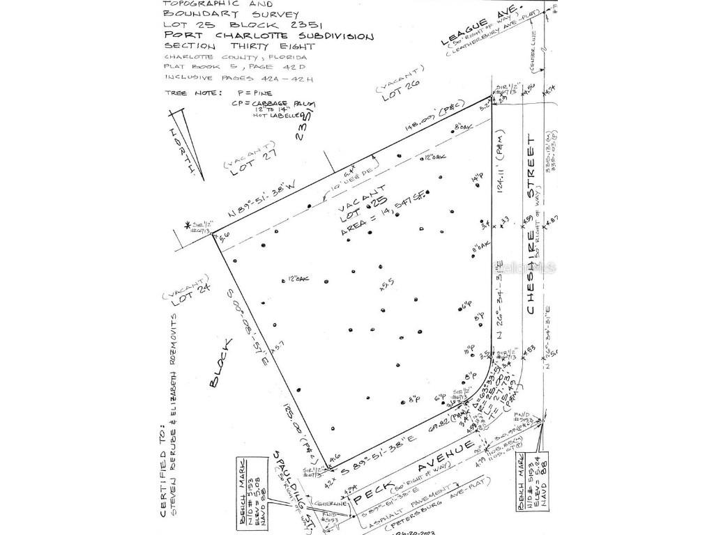 13071 Peck Avenue Port Charlotte FL 33953 D6139825 image3