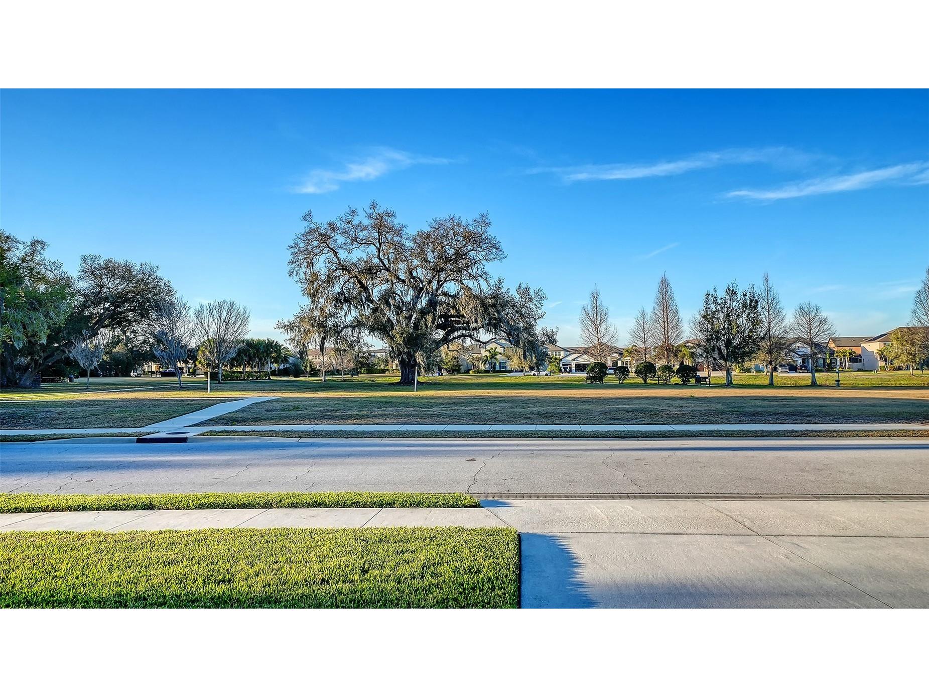 13071 Utopia Loop Bradenton FL 34211 A4683441 image59
