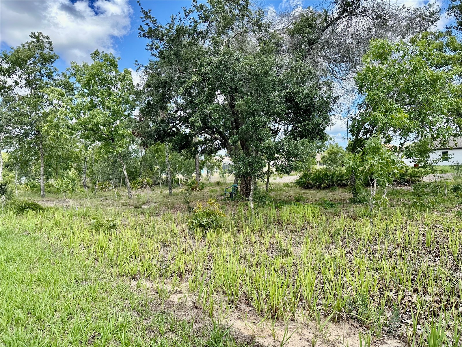 13075 House Finch Road Weeki Wachee FL 34614 W7885915 image69