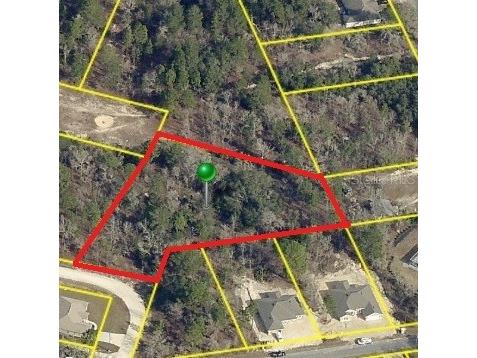 13075 Pacific Nighthawk Avenue Weeki Wachee FL 34614 C7478896 image1