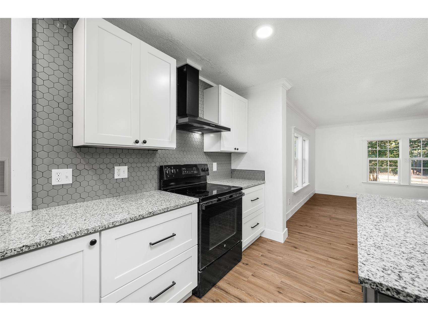 13076 SW 154th Street Archer FL 32618 GC536784 image14