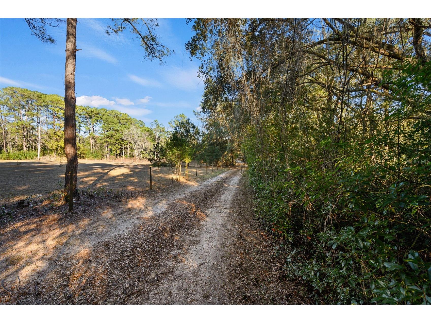 13076 SW 154th Street Archer FL 32618 GC536784 image44