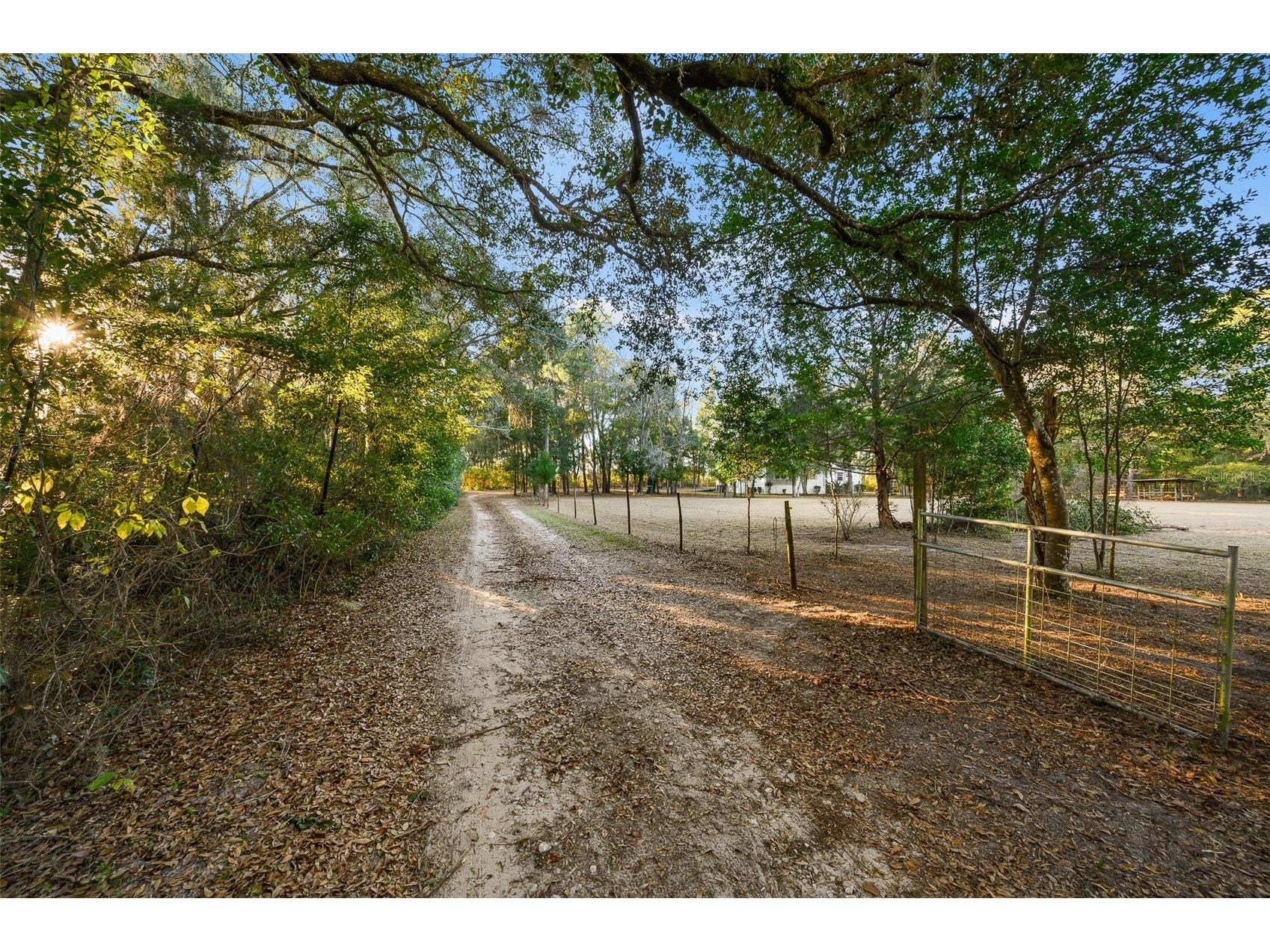 13076 SW 154th Street Archer FL 32618 GC536784 image45