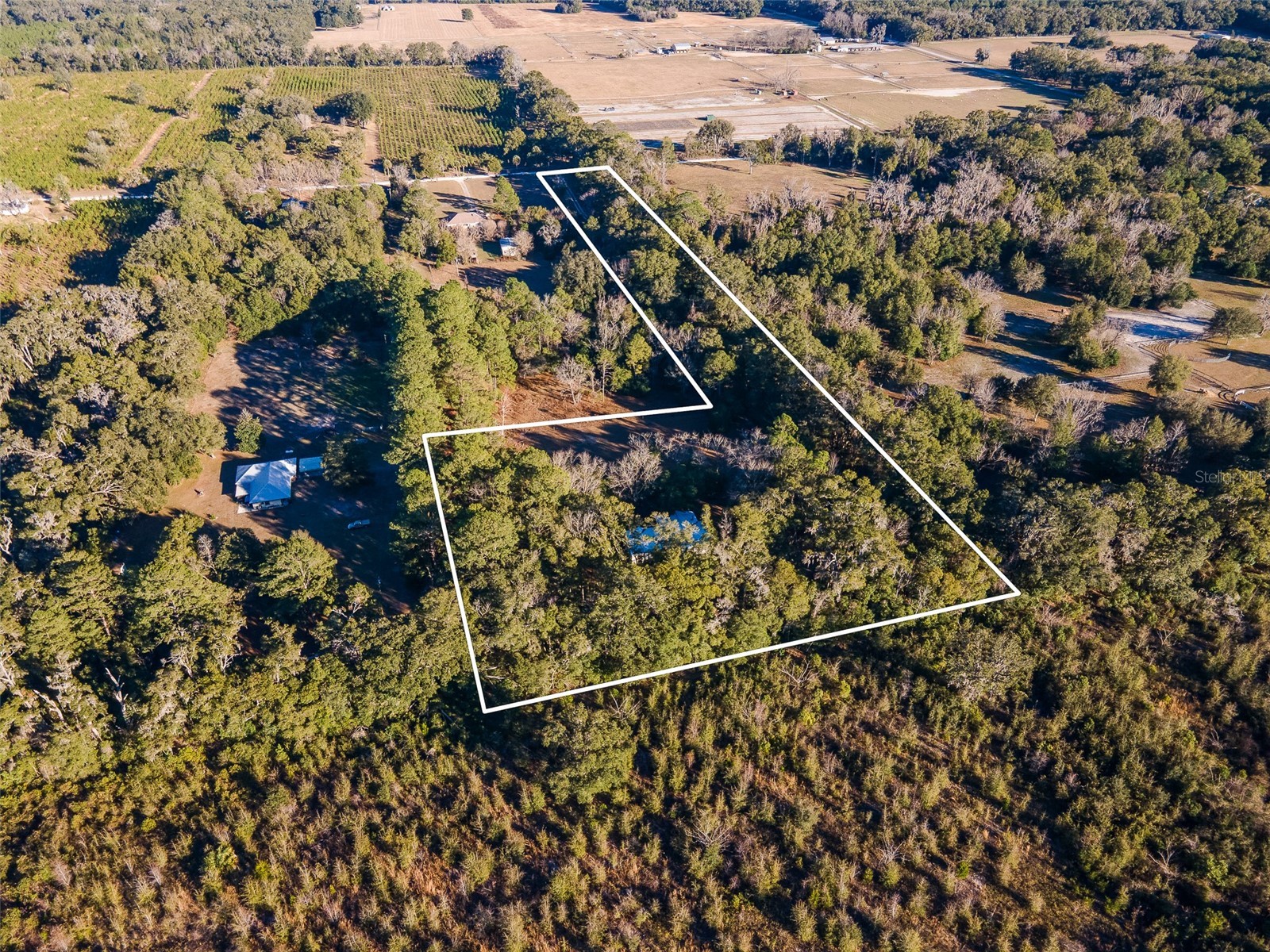 13076 SW 154th Street Archer FL 32618 GC536784 image56