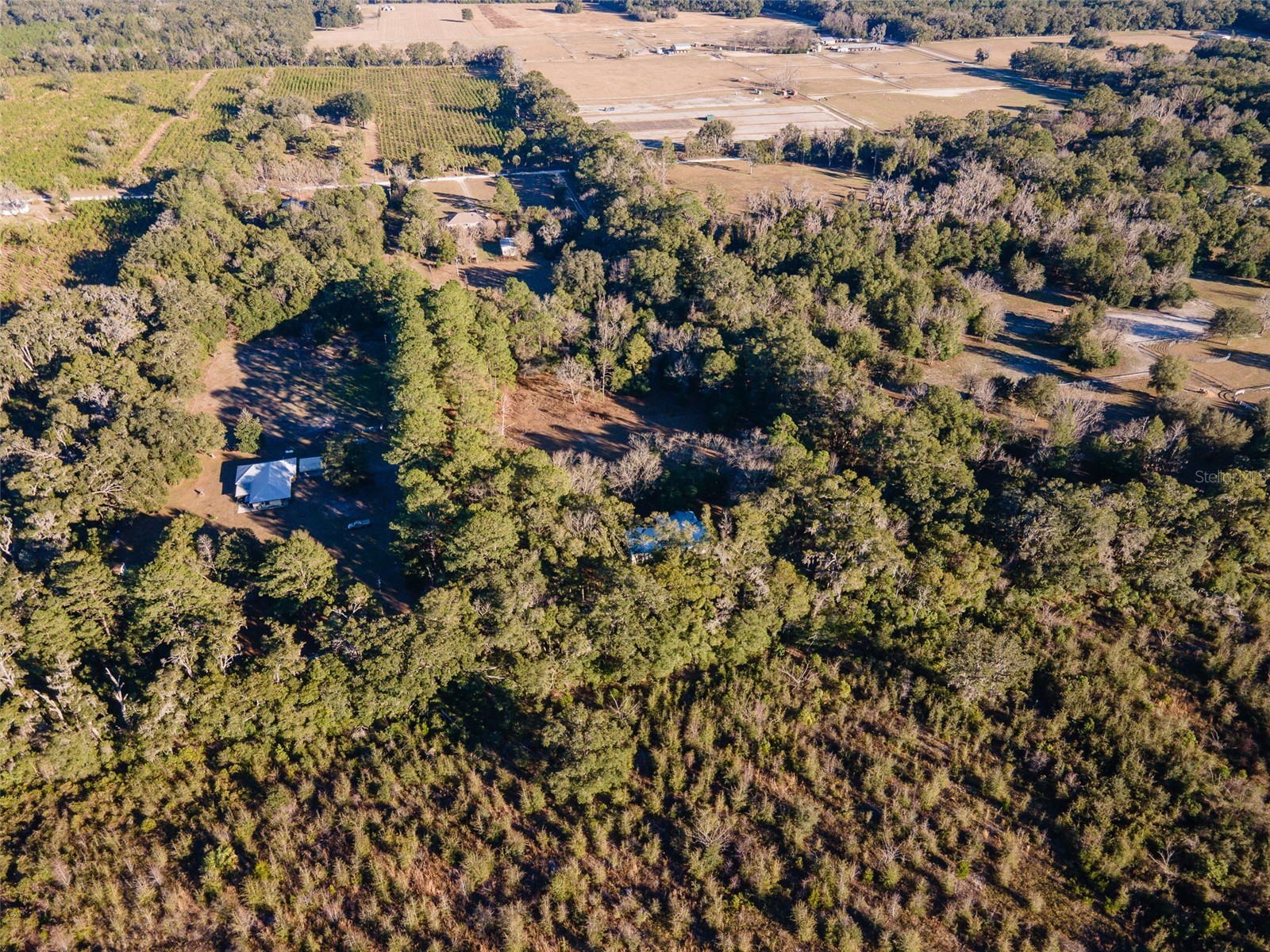 13076 SW 154th Street Archer FL 32618 GC536784 image57